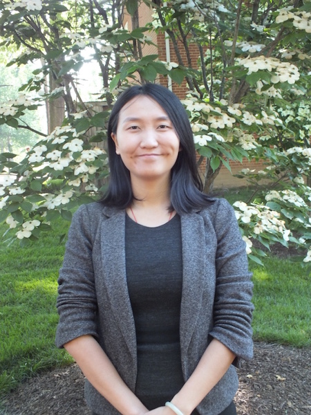 Essay writer in toronto
