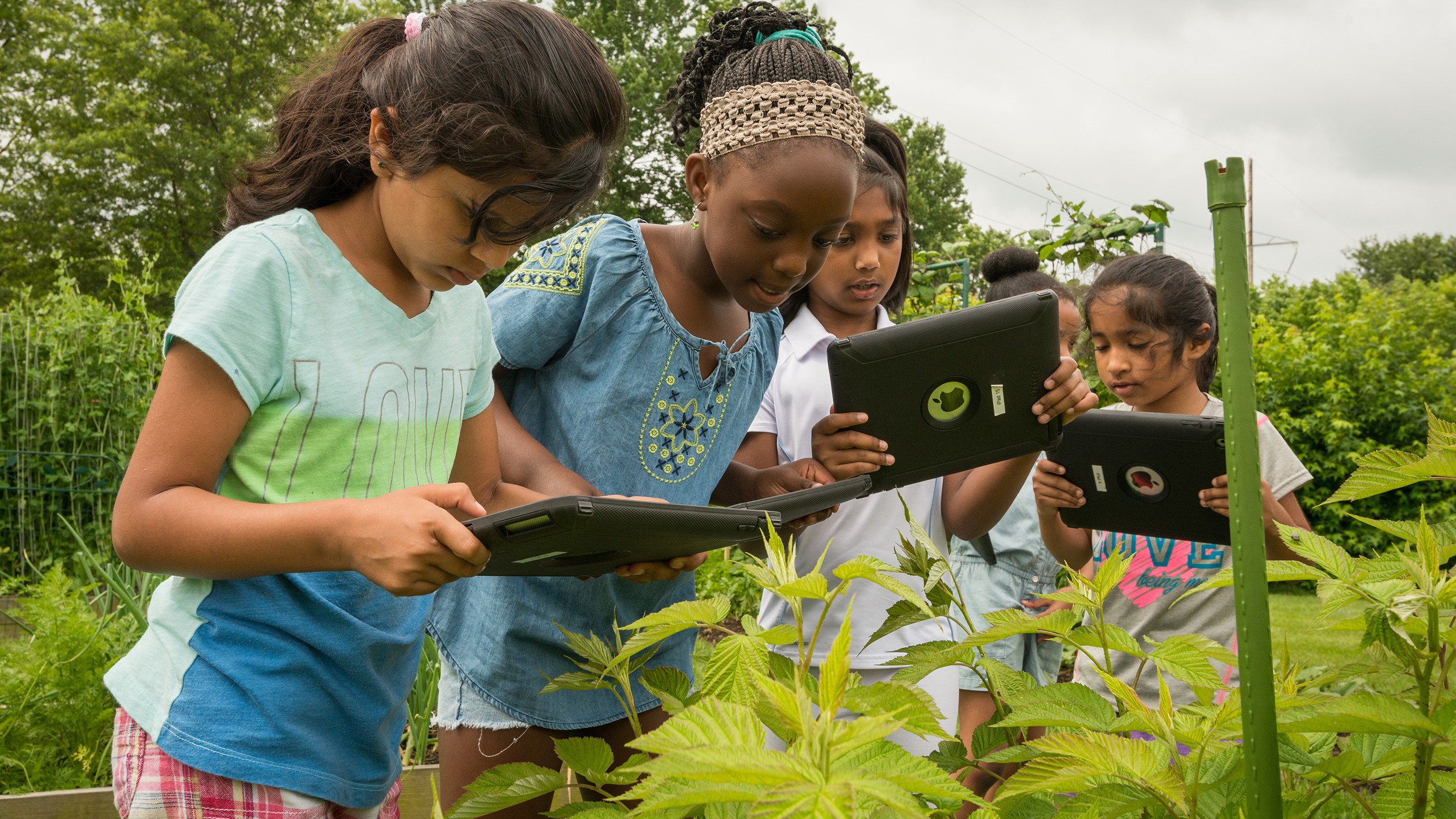 A group of girls use iPads to study plants outside in one of CEHD's summer camps.