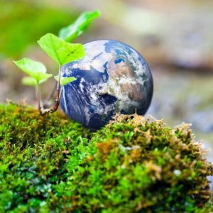 Globe on mossy rock